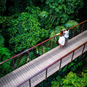 Nayara Springs - Rainforest